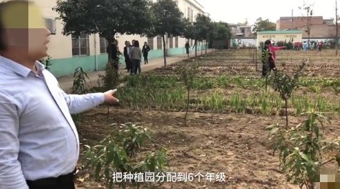 法国市长约见荒地种菜的中国大姐