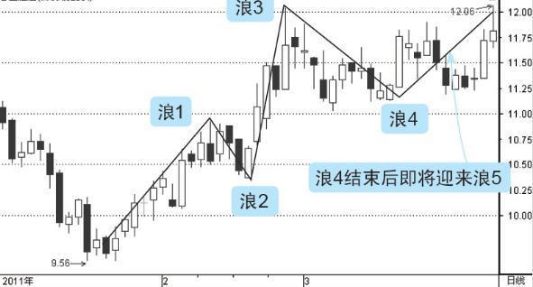 2024年11月25日 第25页