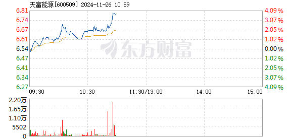 天富能源股票，投资亮点与风险分析