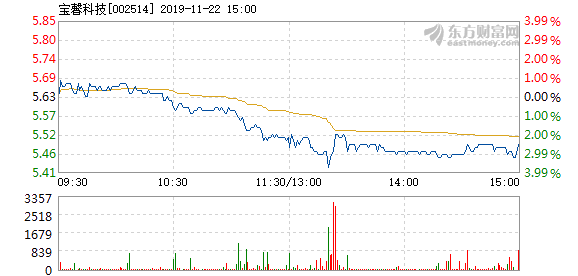 宝馨科技股票，投资机遇还是风险挑战？