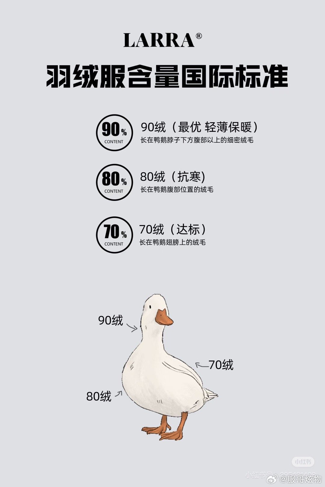 羽绒参考价格最新发布