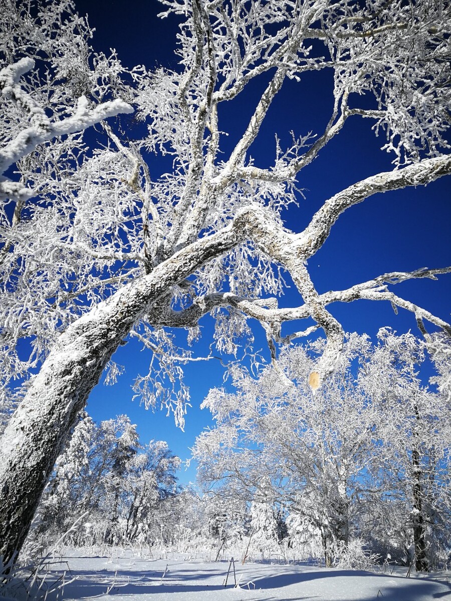 冰天雪地也是金山银山