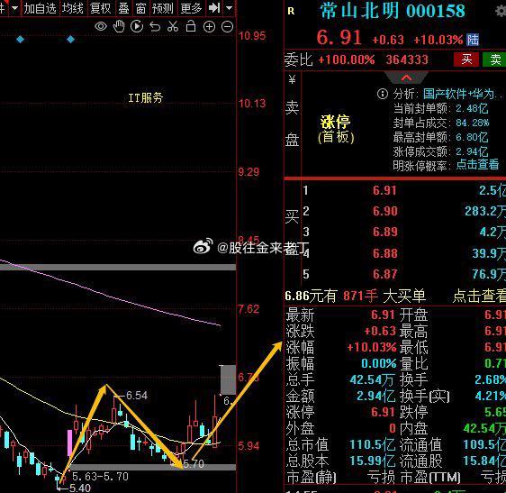 常山北明股票2021年度报告，表现强劲