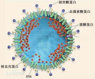 病毒的原理是什么