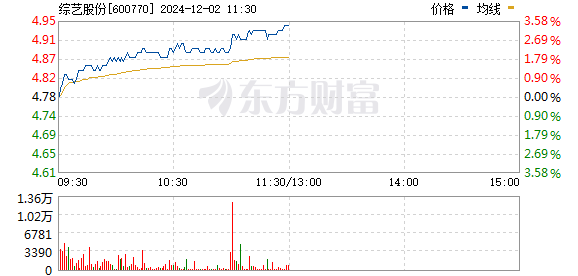 综艺股份股票发行价的研究