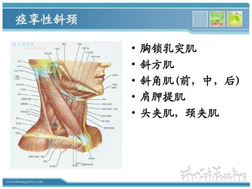 痉挛性发音障碍是否会自愈？