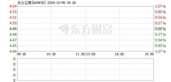 大众公用股票，投资机遇与挑战