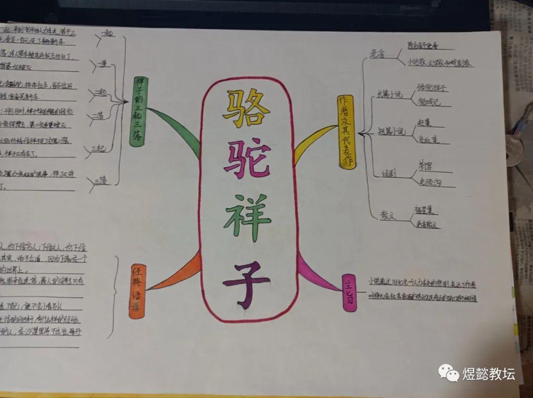 阅读骆驼祥子思维导图