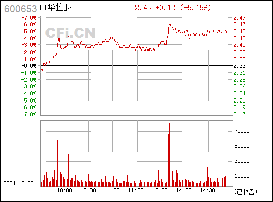 申华控股(600653)股票分析