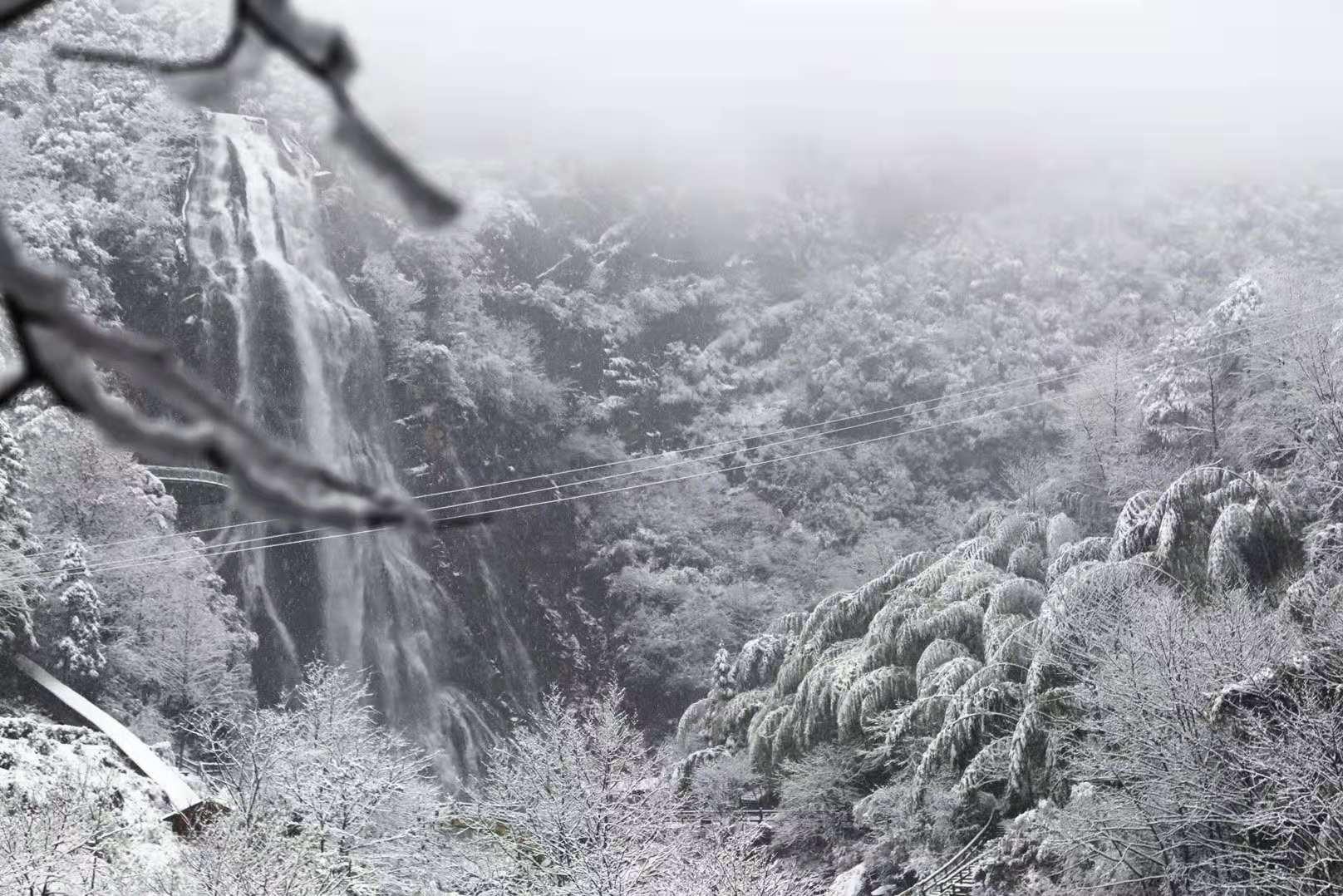 如果下雪了你最想做什么