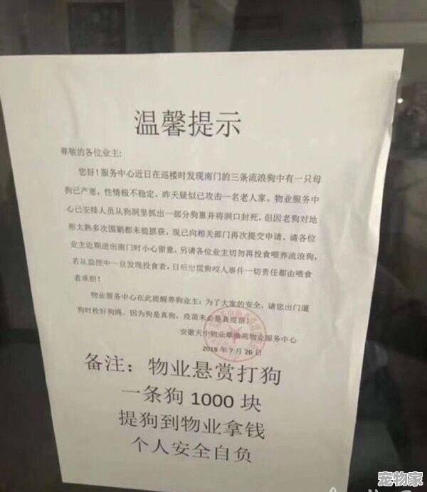 禁止养宠物，规定出台