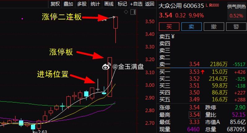 大众公用股票A股