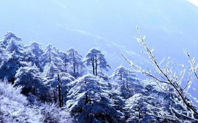 为什么冰天雪地也是金山银山