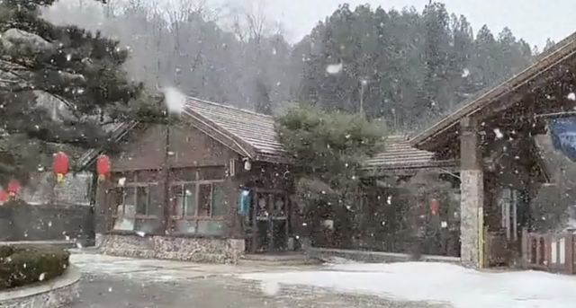 济南下雪