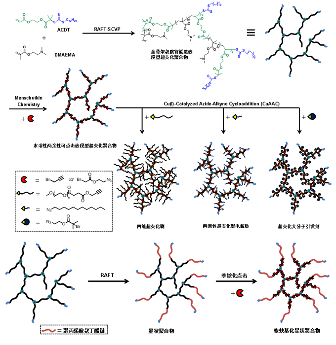 树枝状与超支化聚合物