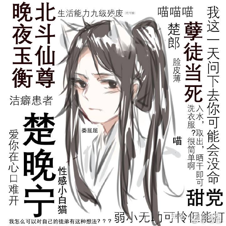 二哈和他的白猫师尊小说免费版