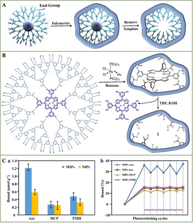 树枝状大分子