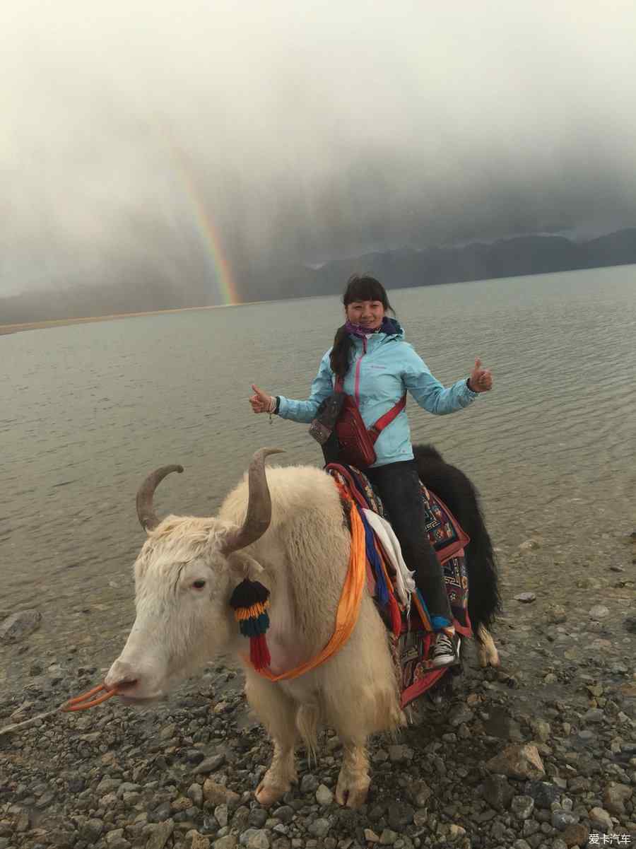 网友在西藏林芝旅游偶遇姜子牙坐骑