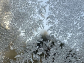 温州40天精准天气预报