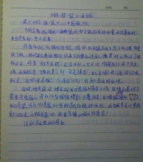 圆明园的毁灭读后感300字作文